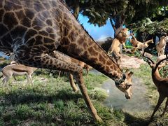 -国家自然博物馆