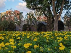 -上海市龙华烈士陵园