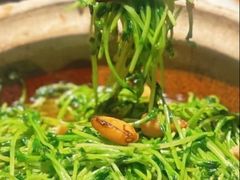 -天辣(金桥啦啦宝都店)