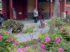 -望湖公园