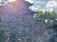 -胡雪岩故居