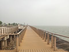 -东疆建设开发纪念公园