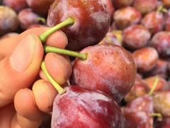 -西郊国际农产品交易中心