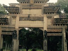 -中山大学学者灵芝(园南路店)