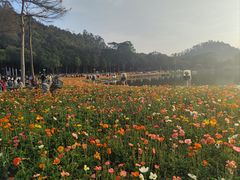 -顺峰山公园