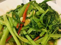 -清新鸡沙田乳鸽店(金融店)