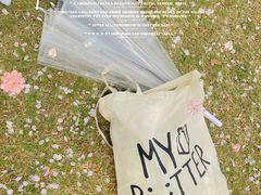 -顾村公园