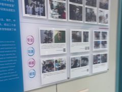 -北京观赏动物医院·24小时大型综合·猫专科·异宠专科