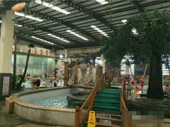 -南宫温泉水世界