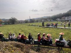 -红山村