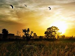 -汉长安城未央宫国家考古遗址公园