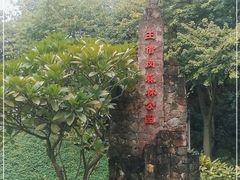 -王借岗森林公园