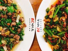 -功夫兔