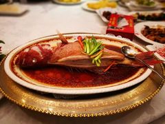 红石斑-万宝海鲜舫(劳动公园店)