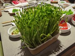 -海底捞火锅(石厦时代广场店)