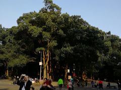 -峨眉山报国寺