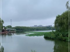 -大兴滨河森林公园