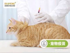 -纳吉亚猫专科动物医院博雅分院