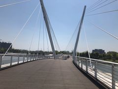 -映月湖中央公园