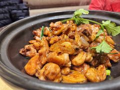 鸡煲-正哥点心专家(上邦百汇城店)