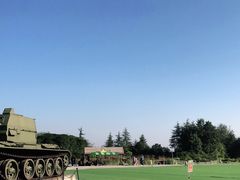 -铁山坪森林公园