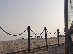 -精酿农场Brew Farm·沙漠绿洲餐厅