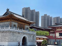 -天龙宝严素食馆(大兴善寺店)