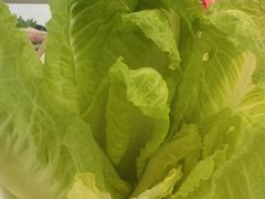 -小肥羊·牛羊肉火锅(万达广场店)
