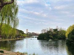 -新江湾城公园