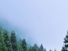 -重庆睡佛山森林公园