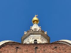 -圣母百花大教堂穹顶