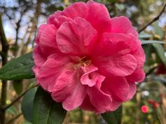 -昆明市金殿名胜区