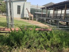 -石家庄市动物园