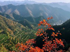 -王顺山国家森林公园