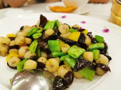 -福鼎轩海鲜大酒楼(皇轩酒店)