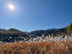 -玉渡山自然风景区