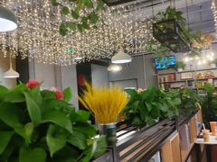 -京城·森鸽排档(双井店)