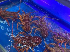 -万宝海鲜舫(劳动公园店)