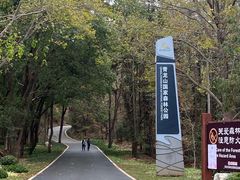 -青龙山国家森林公园