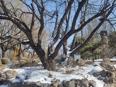 -元大都城垣遗址公园