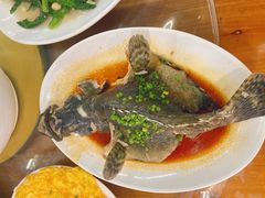 清蒸石斑鱼-明记海鲜大排档(巽寮湾店)