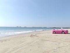 -东郊椰林