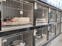 -翊宠yipet猫狗购宠庄园犬舍•猫舍