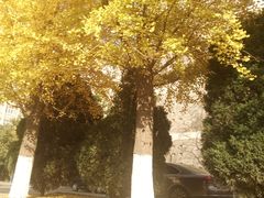 -辽宁大学(崇山校区)