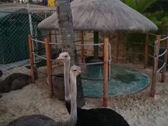 -三亚亚龙湾天域度假酒店