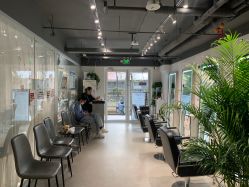 -Will+ Hair Studio