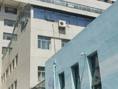 -北京大学肿瘤医院