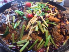 -老板恋上鱼(恒隆广场店)