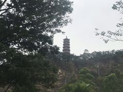 -南沙蒲洲花园