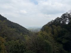 -韬光茶庵
